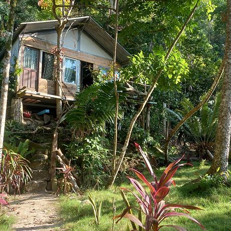 Sumatra Ecolodge Sungaipisang Luaran gambar