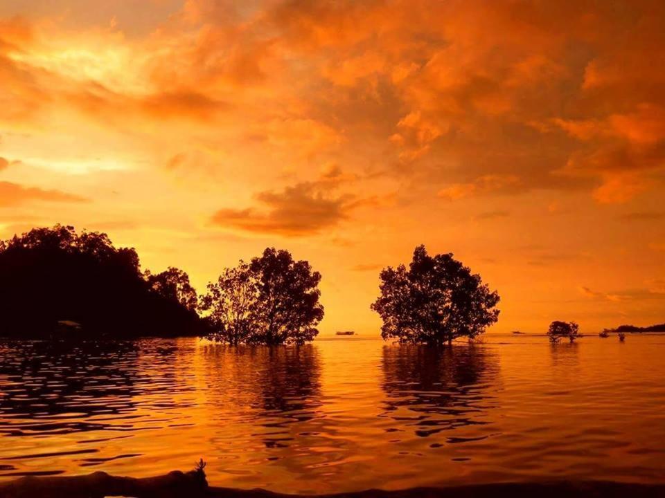 Sumatra Ecolodge Sungaipisang Luaran gambar