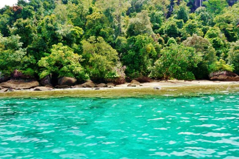 Sumatra Ecolodge Sungaipisang Luaran gambar