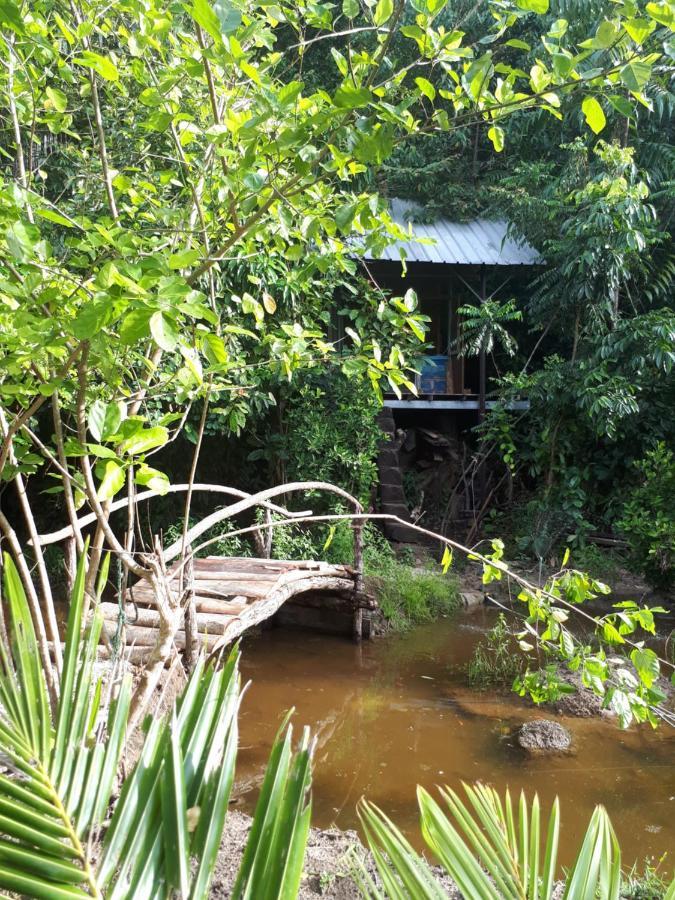 Sumatra Ecolodge Sungaipisang Luaran gambar