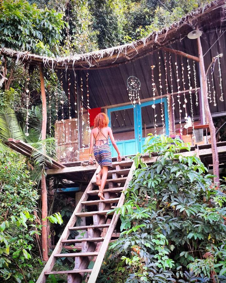 Sumatra Ecolodge Sungaipisang Luaran gambar