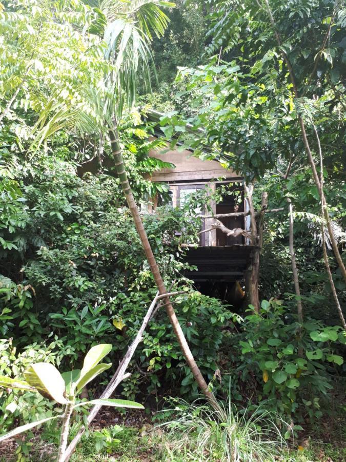 Sumatra Ecolodge Sungaipisang Luaran gambar