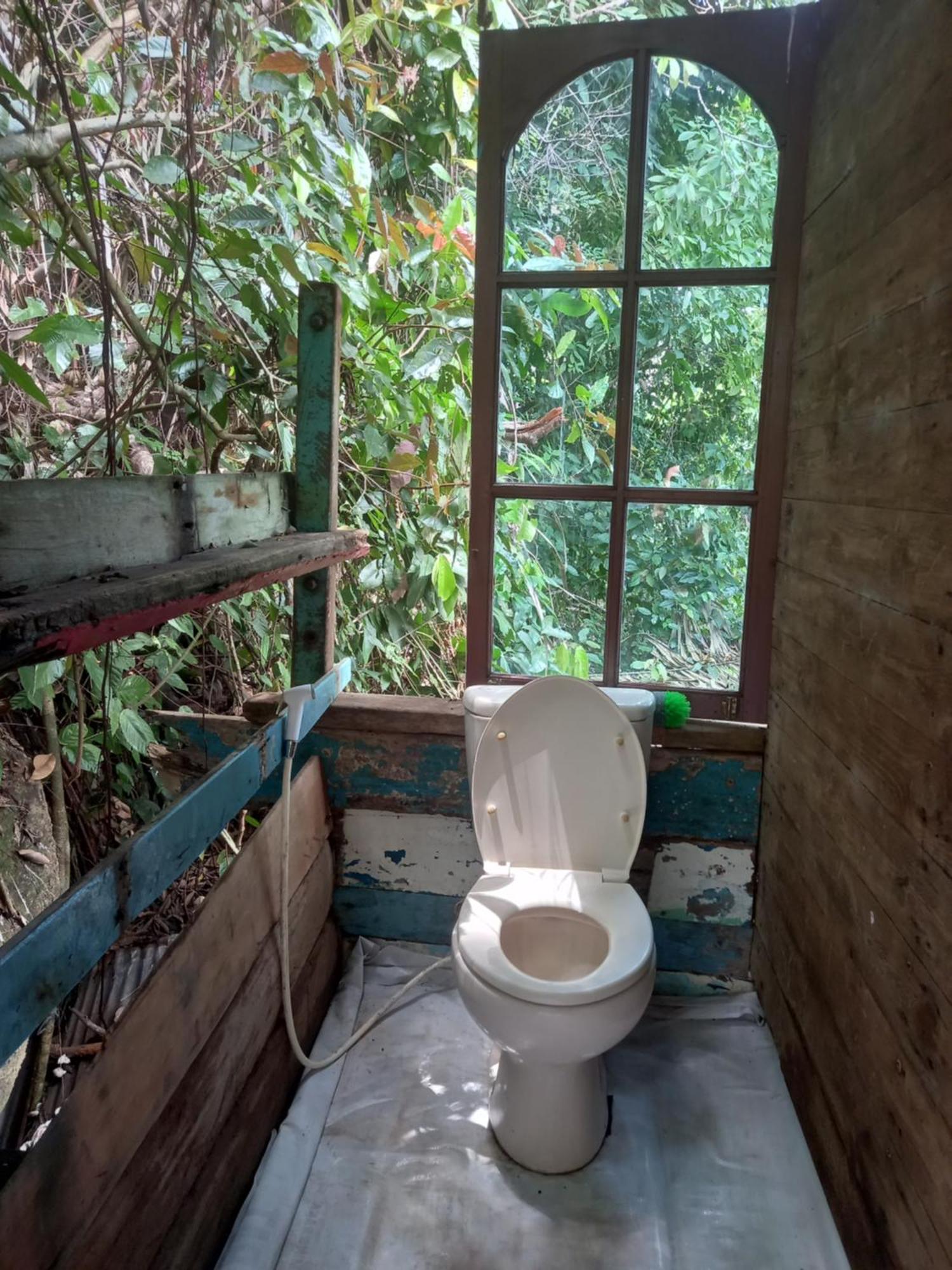 Sumatra Ecolodge Sungaipisang Bilik gambar