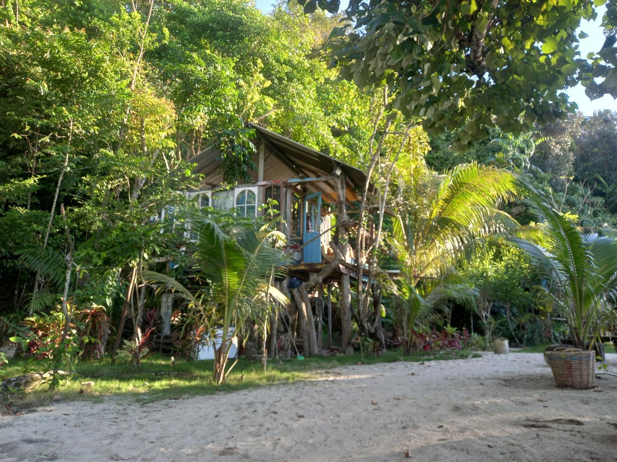 Sumatra Ecolodge Sungaipisang Bilik gambar