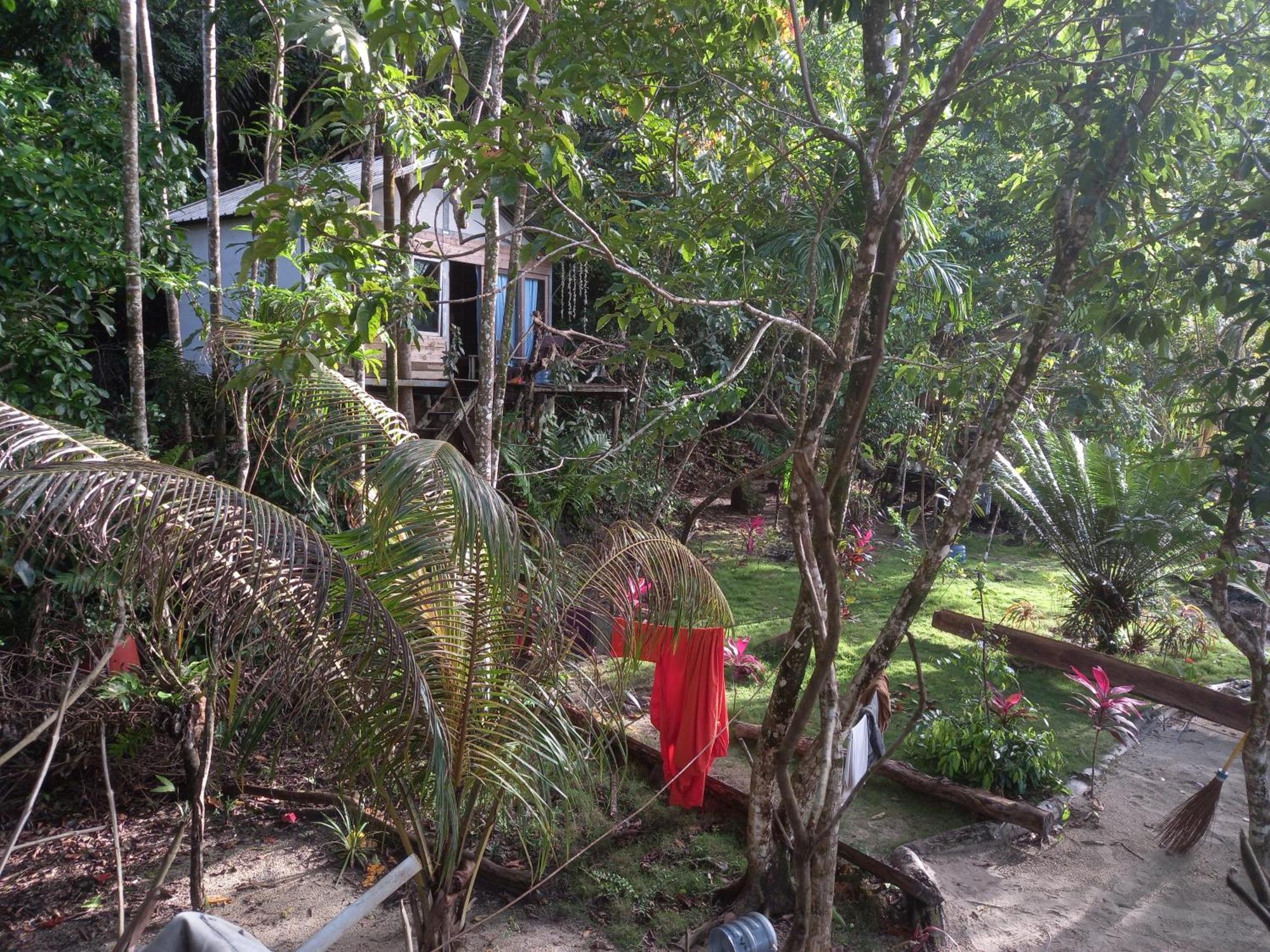 Sumatra Ecolodge Sungaipisang Luaran gambar