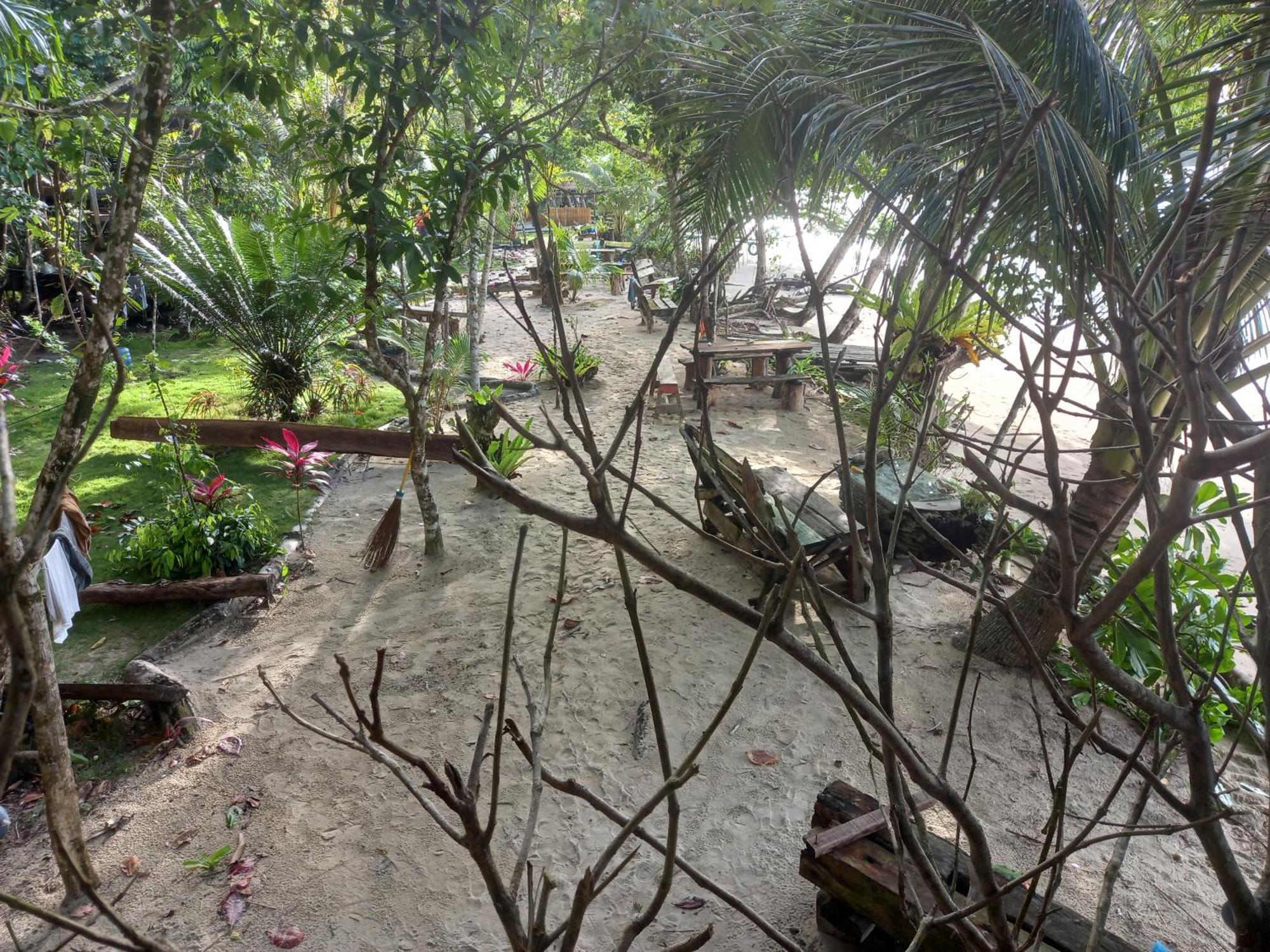 Sumatra Ecolodge Sungaipisang Luaran gambar