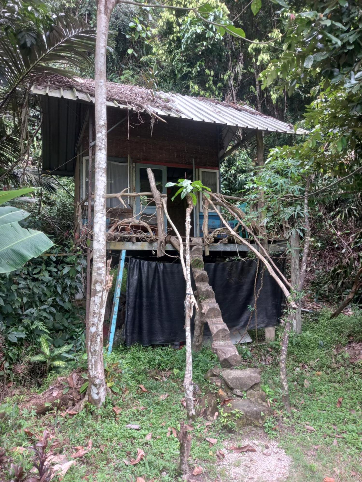 Sumatra Ecolodge Sungaipisang Bilik gambar
