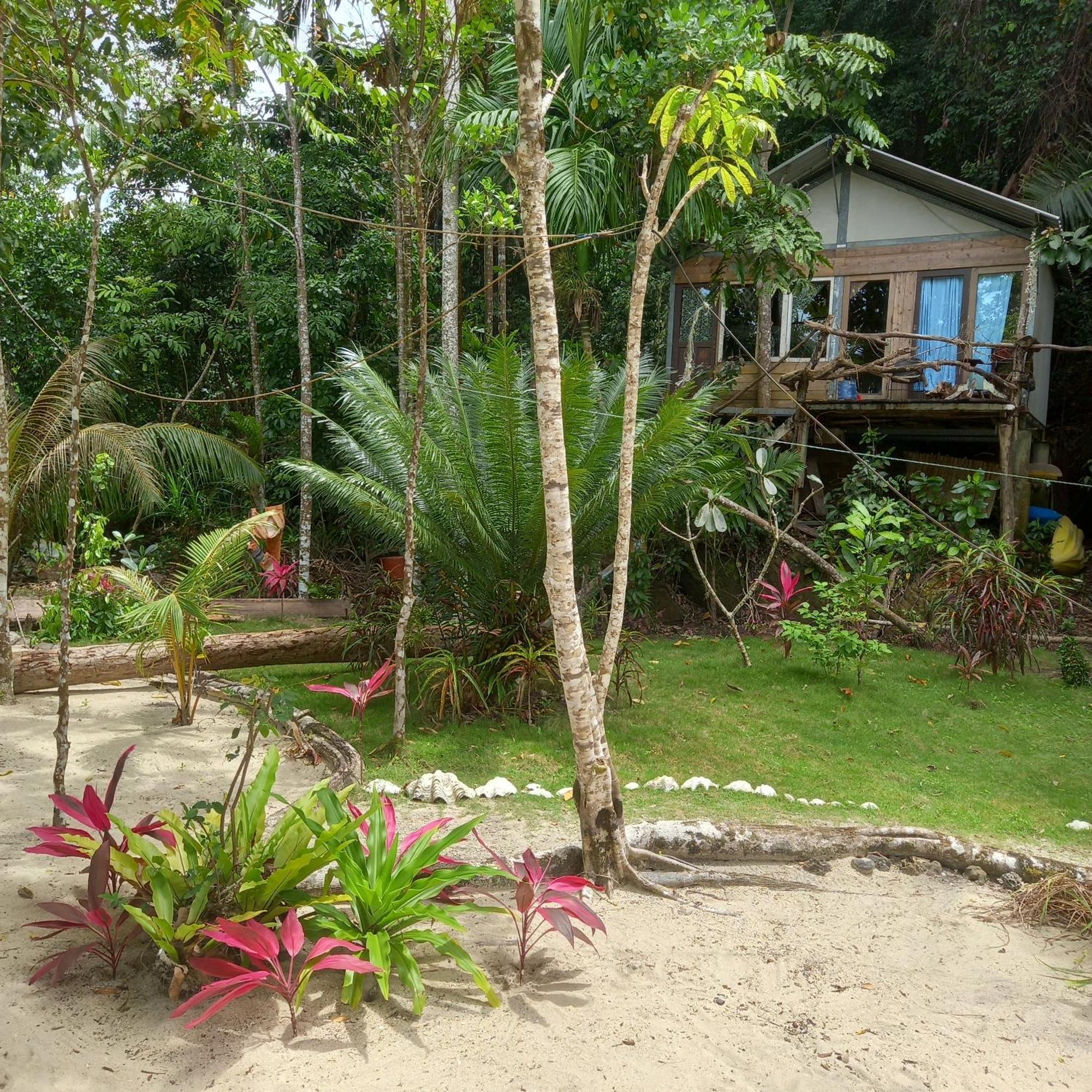 Sumatra Ecolodge Sungaipisang Bilik gambar